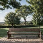 maginez une scène tranquille au lever du soleil, où les rayons dorés filtrent à travers les branches d’un arbre majestueux. À l'avant-plan, un joli banc en bois est placé sous l'arbre, avec un livre ouvert à côté d'une tasse de thé fumante. Des feuilles colorées tombent lentement autour du banc, évoquant un sentiment de sérénité et de réflexion. Au-dessus de cette scène paisible, une citation inspirante sur l’amitié est écrite en lettres cursives élégantes, dans une couleur douce qui s’harmonise avec le paysage, comme un blanc éclatant ou un pastel. La citation pourrait être entourée d’un léger halo lumineux, attirant l'œil et invitant à la lecture. L'arrière-plan pourrait inclure une légère brume matinale, ajoutant à l'atmosphère contemplative, tandis que les couleurs chaudes du lever du soleil renforcent le sentiment de nouveau départ et de potentiel.